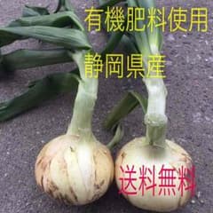 個数限定価格‼︎静岡県浜松産・新玉葱・有機肥料のサムネイル