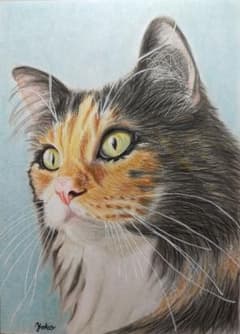 【原画】『シュカリモーゼ』（猫　絵画　パステル画） 0_0fb53b67089c3f907d3414e4e5cc