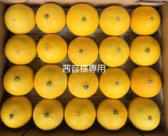 茜音様専用　黄金柑　コンパクト便のサムネイル