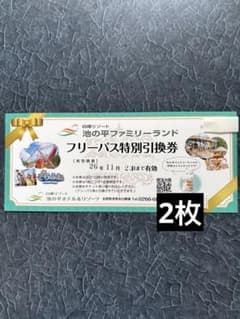 池の平ファミリーランド フリーパス特別引換券 2枚 - メルカリ