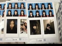 seju証明写真　　たまきとあのサムネイル