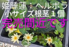 k-wolf様 リクエスト 4点 まとめ商品のサムネイル