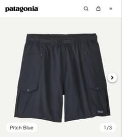 パタゴニアPatagoniaエブリデーショートパンツバギーズショーツ短パン