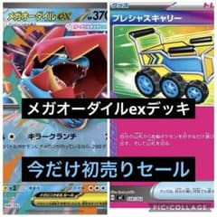 プレシャスキャリー入り！】ガチ構築！メガオーダイルデッキ - メルカリ