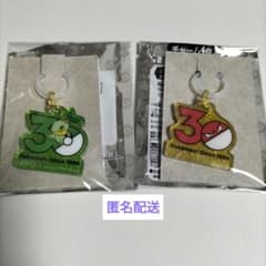 포켓 매력 포켓몬 30주년 로고 마스코트
