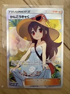 【美品】かんこうきゃく SR SM12aのサムネイル