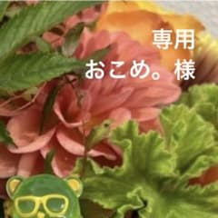 専用ページ おこめ。(プロフ確認お願いします)様10/15 - メルカリ