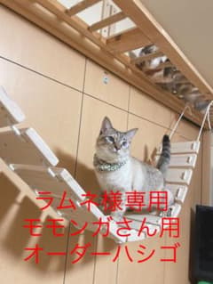 ラムネさん専用  モモンガさん用 ハシゴ オーダー品のサムネイル