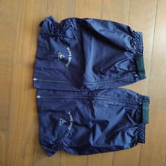ちーさま専用 ルコック　 レディース フットカバーのサムネイル
