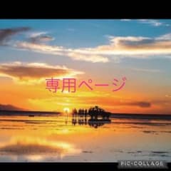 シーラン様専用ページのサムネイル