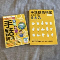 実用手話辞典 2訂版のサムネイル