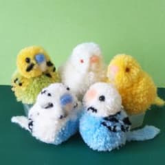 ハンドメイド　インコ　セットのサムネイル