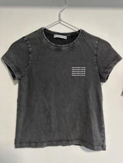 alexanderwang ダークグレー Tシャツ XS - メルカリ