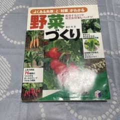 野菜づくり よくある失敗と対策がわかる 実用BEST BOOKS家庭菜園のサムネイル