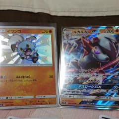 色イワンコ ルガルガンセットのサムネイル