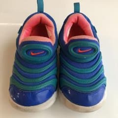 ナイキダイナモフリーのサムネイル