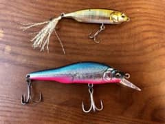 メガバス　セット　X80swとKarashiのサムネイル