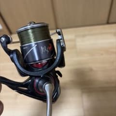 月下美人リールのサムネイル