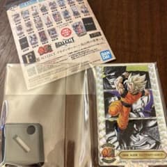 kenkou様 リクエスト 2点 まとめ商品のサムネイル