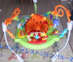 フィッシャープライス レインフォレスト ジャンパルーのサムネイル