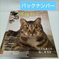 保護ねこカレンダー2/2022年11月~2024年3月のサムネイル