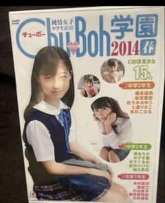 입수 곤란 chuboh 학원 DVD 3장 세트 하시모토 칸나 사사키 미유 외