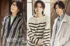 WANDS ファンクラブ会報 WANDER-LAND NEO Vol.10のサムネイル