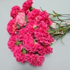 し*ん様 アーティフィシャルフラワー カーネーション 花材セットのサムネイル
