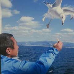 えぬちぃさん返金ページのサムネイル