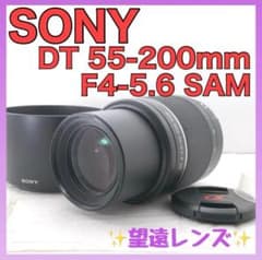 訳あり】SONY DT 55-200mm F4-5.6 SAM 望遠レンズ - メルカリ