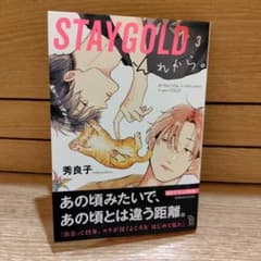STAYGOLD それから。3　　秀良子のサムネイル