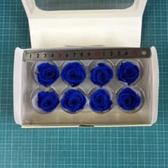 ミアローズのロイヤルブルーのサムネイル