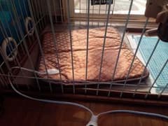 ペットゲージのサムネイル