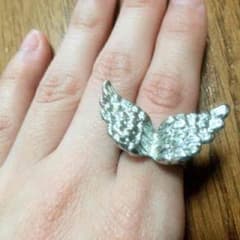 指輪→リング【羽根,アーマーリング,骨】のサムネイル