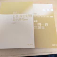 共通テスト 公共 政治 経済 集中講義 必携一問一答問題集のサムネイル