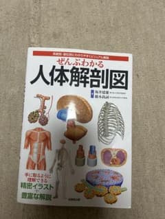 ぜんぶわかる人体解剖図 系統別・部位別ビジュアル解説のサムネイル