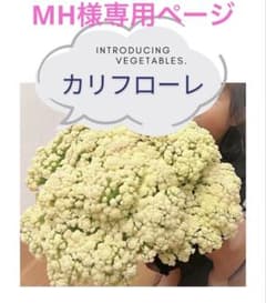MH様専用ページのサムネイル