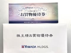 ヤマダ電機 株主優待券（お買い物優待券）5000円分【2025年12月末日まで】のサムネイル