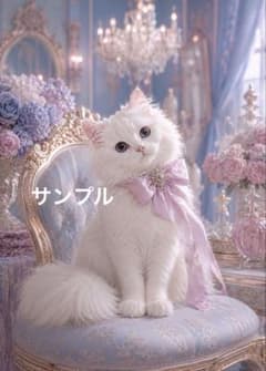 [한 작품 한] 꿈 색 로코코의 흰 고양이 공주 흰 고양이 고양이 아트 K513