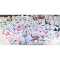 ぽてうさろっぴー 69体 まとめ売りのサムネイル