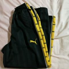 プージャ 黄色のサムネイル