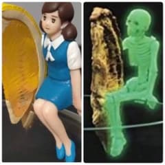 신품과 같이 미사용 미개봉 컵의 후치본 시크릿들이 전 7종 컴플리트 세트