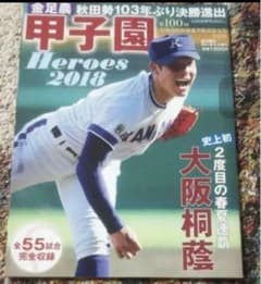 甲子園ヒーローズ２０１８年版のサムネイル