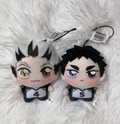 ハイキュー!! ちょぴぬいぷち 木兎光太郎 赤葦京治 マスコットぬいぐるみ 梟谷