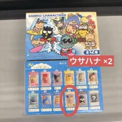 サンリオキャラクターズ チョコボックス フィギュア　ウサハナ　2個 日焼けのサムネイル