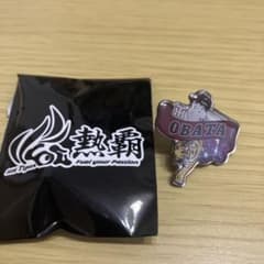 ☆阪神タイガース☆小幡竜平選手☆ピンズ☆未使用☆