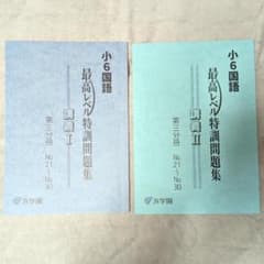 浜学園2025年度小6国語 最高レベル特訓第3分冊&パズル集 - メルカリ