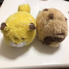 타누키와 츠네의 봉제 인형 세트