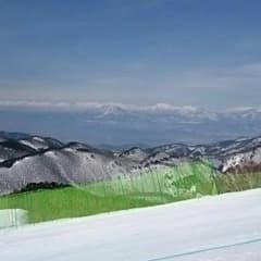 チアゴ様専用のサムネイル
