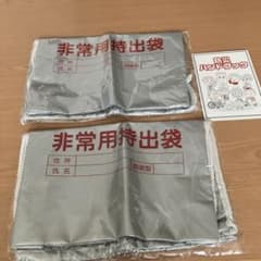 非常用持出袋のサムネイル